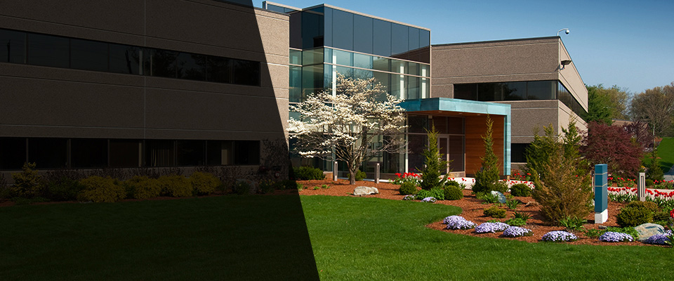 Locust Valley Landscapers