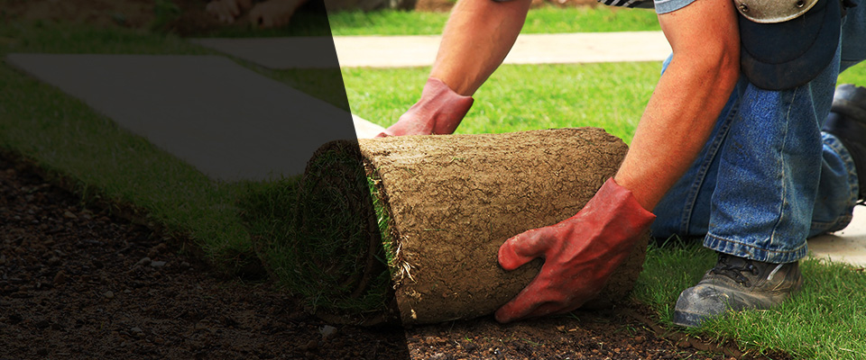 Locust Valley Landscapers